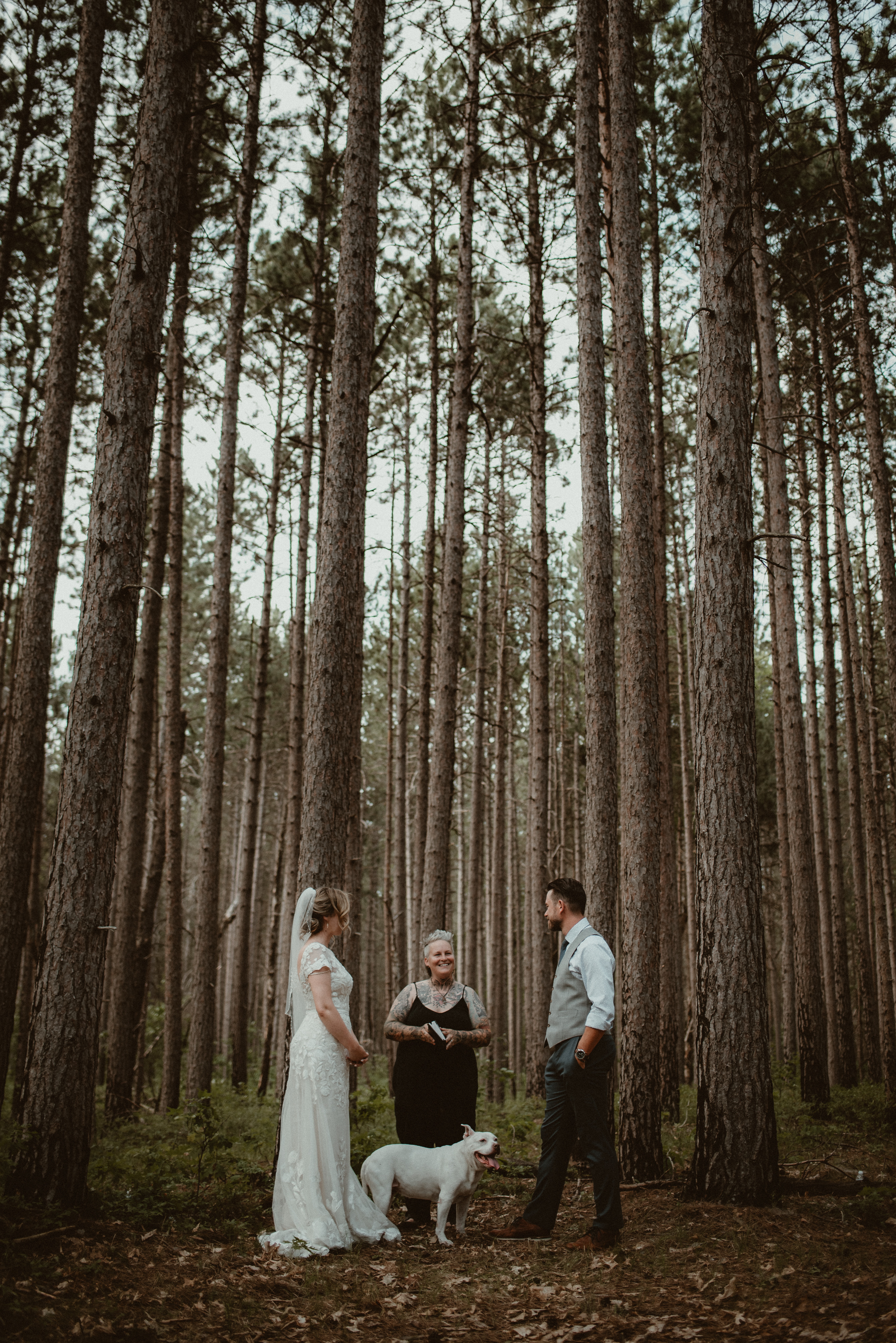 Wedding Ceremony with tall pines as backdrop