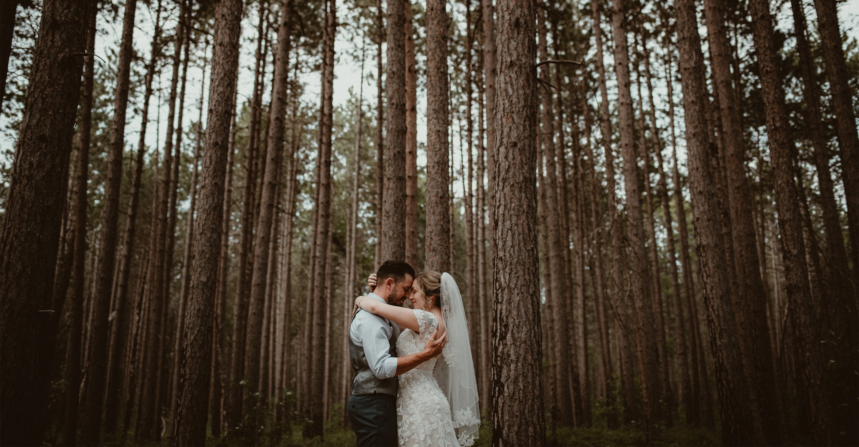 Small wedding in Mio, Michigan. Couple in wedding attire standing amongst tall pines in the woods.