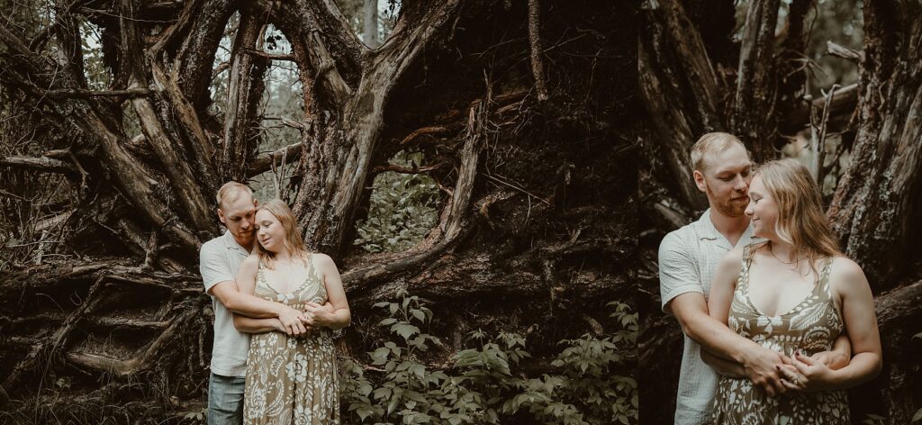Him holding her from behind in front of an uprooted tree.