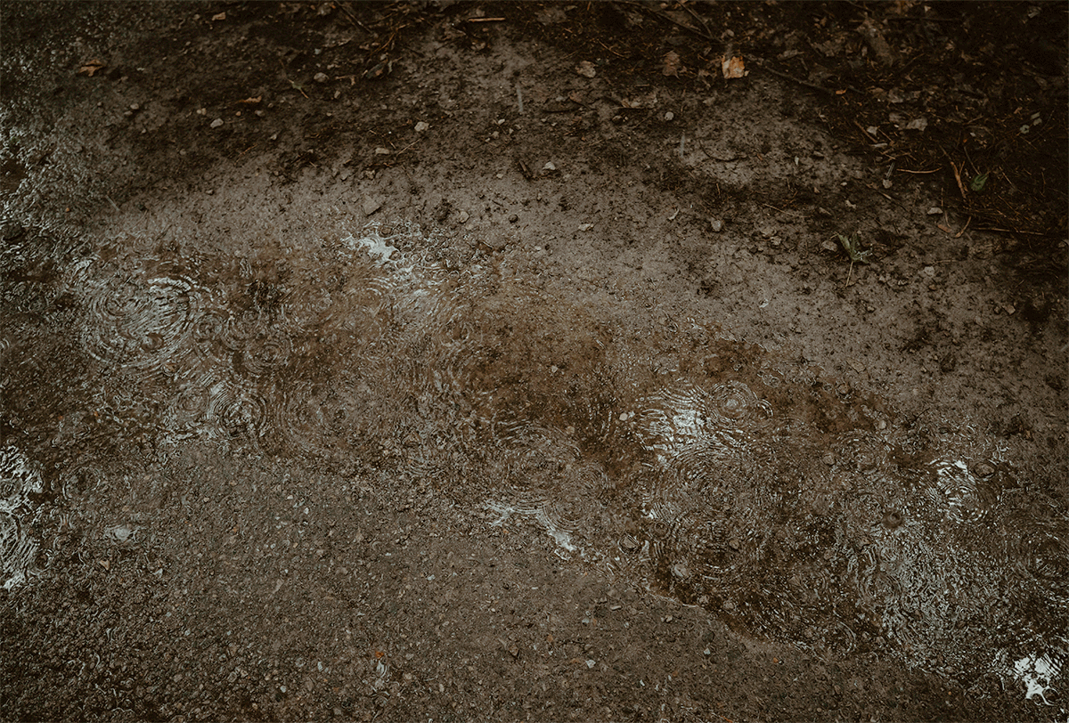 GIF of rain falling on the ground.