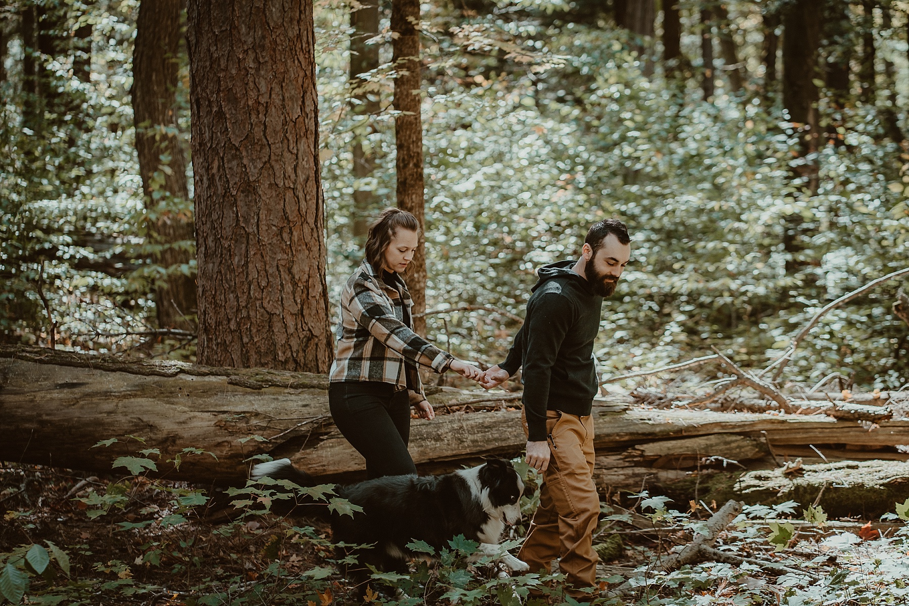 Couple walking through Hartwick Pines during peak fall color with their Border Collie along side of them.