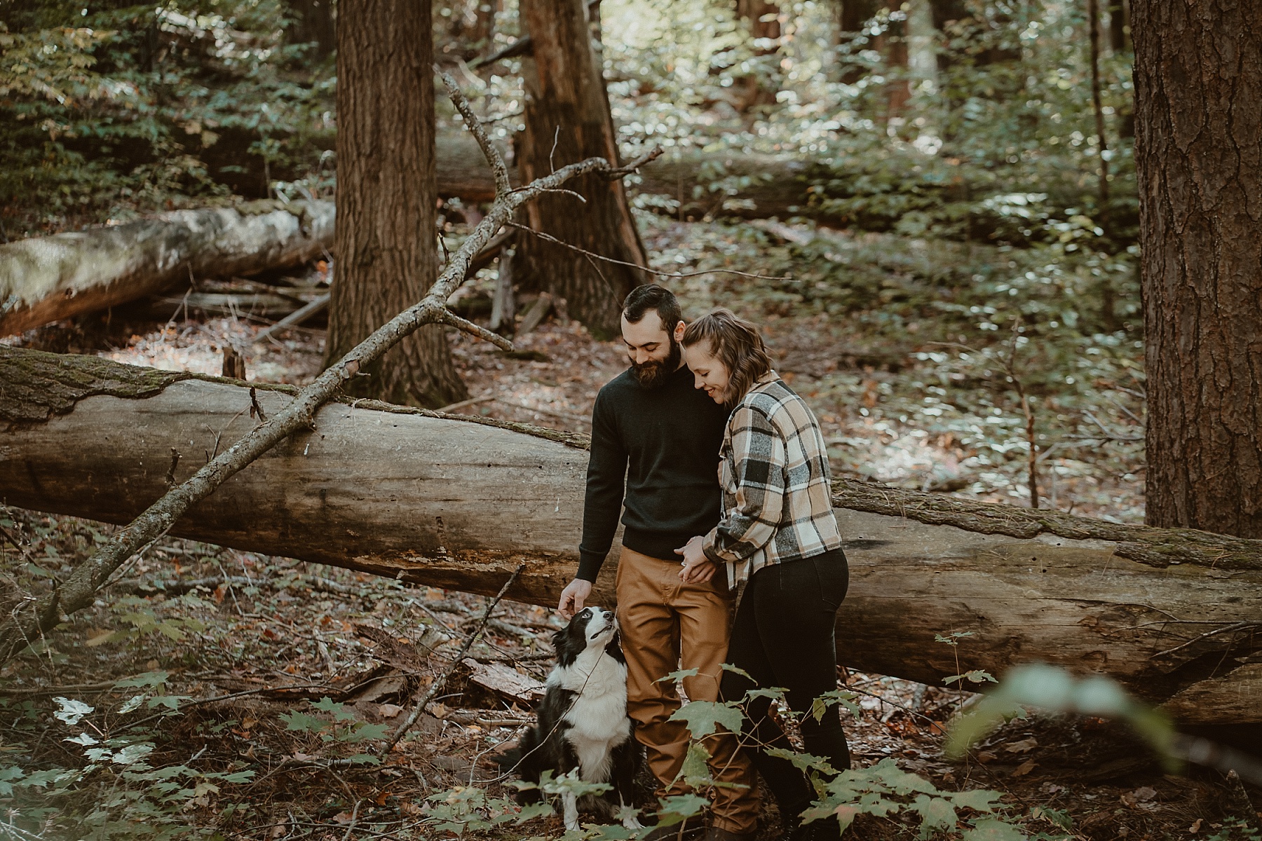 Couple with their Border Collie at Hartwick Pines during peak fall color