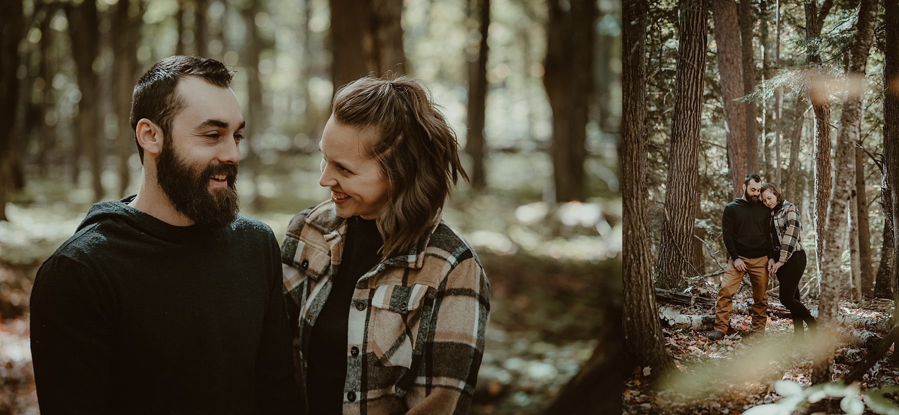 Engaged couple standing beneath towering old-growth pines surrounded by golden autumn leaves.