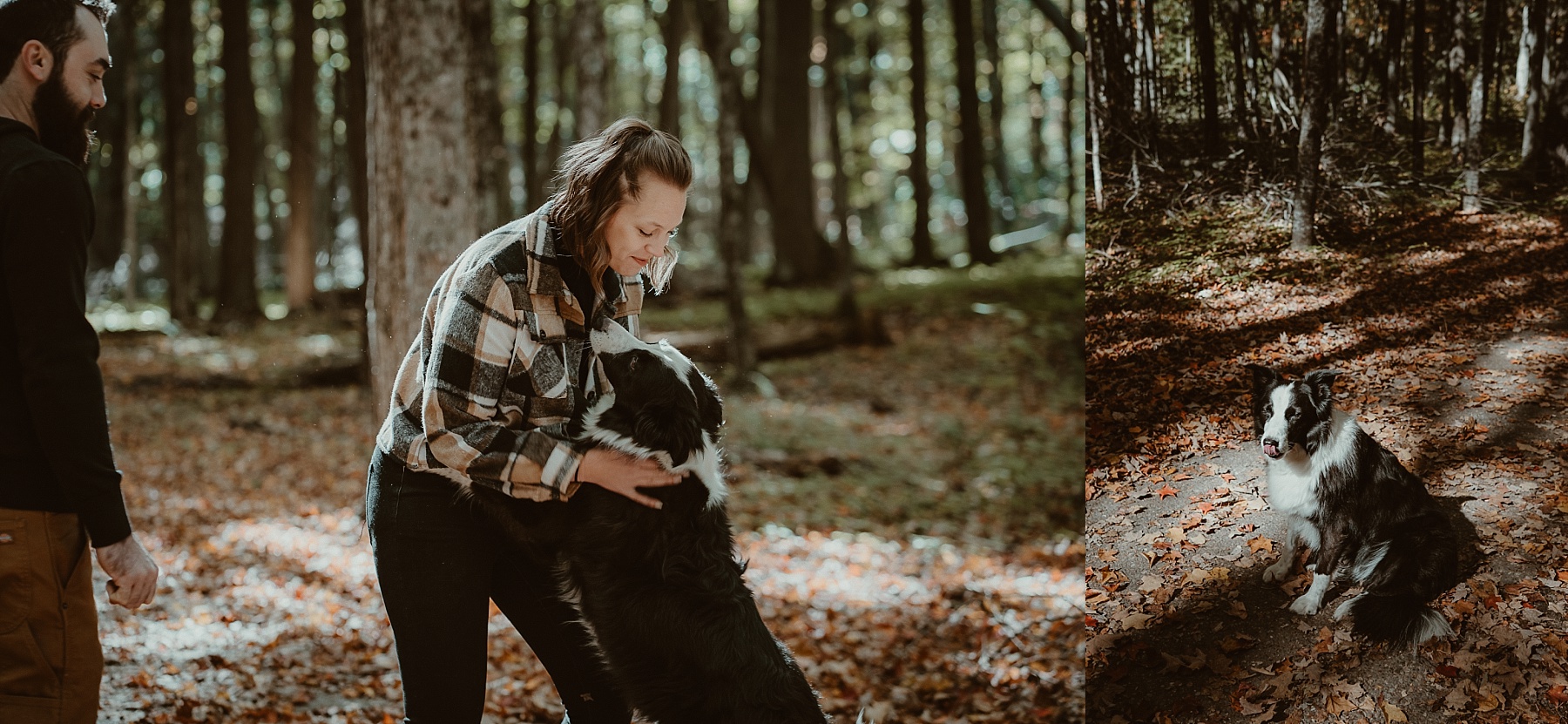 Dog sitting and giving love to his human during engagement session at Hartwick Pines State Park.