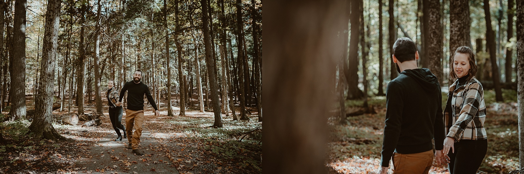 Engaged couple walking and being playful beneath towering old-growth pines surrounded by golden autumn leaves.