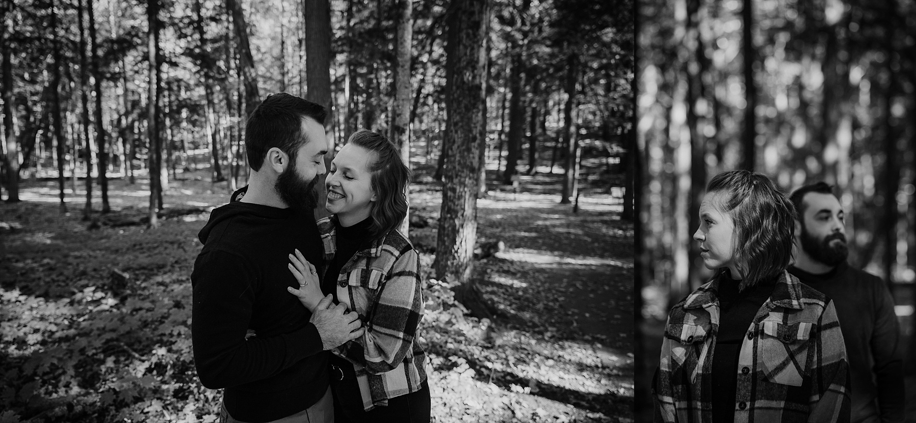 Engaged couple standing beneath towering old-growth pines surrounded by autumn leaves in black and white