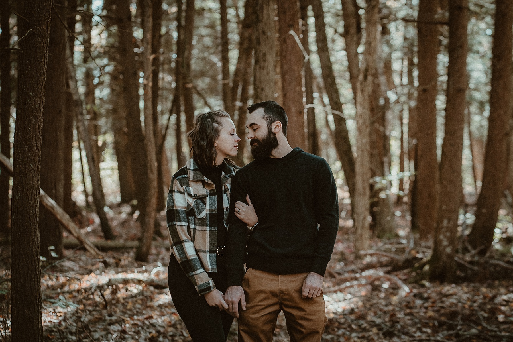 ngaged couple standing beneath towering old-growth pines surrounded by golden autumn leaves.