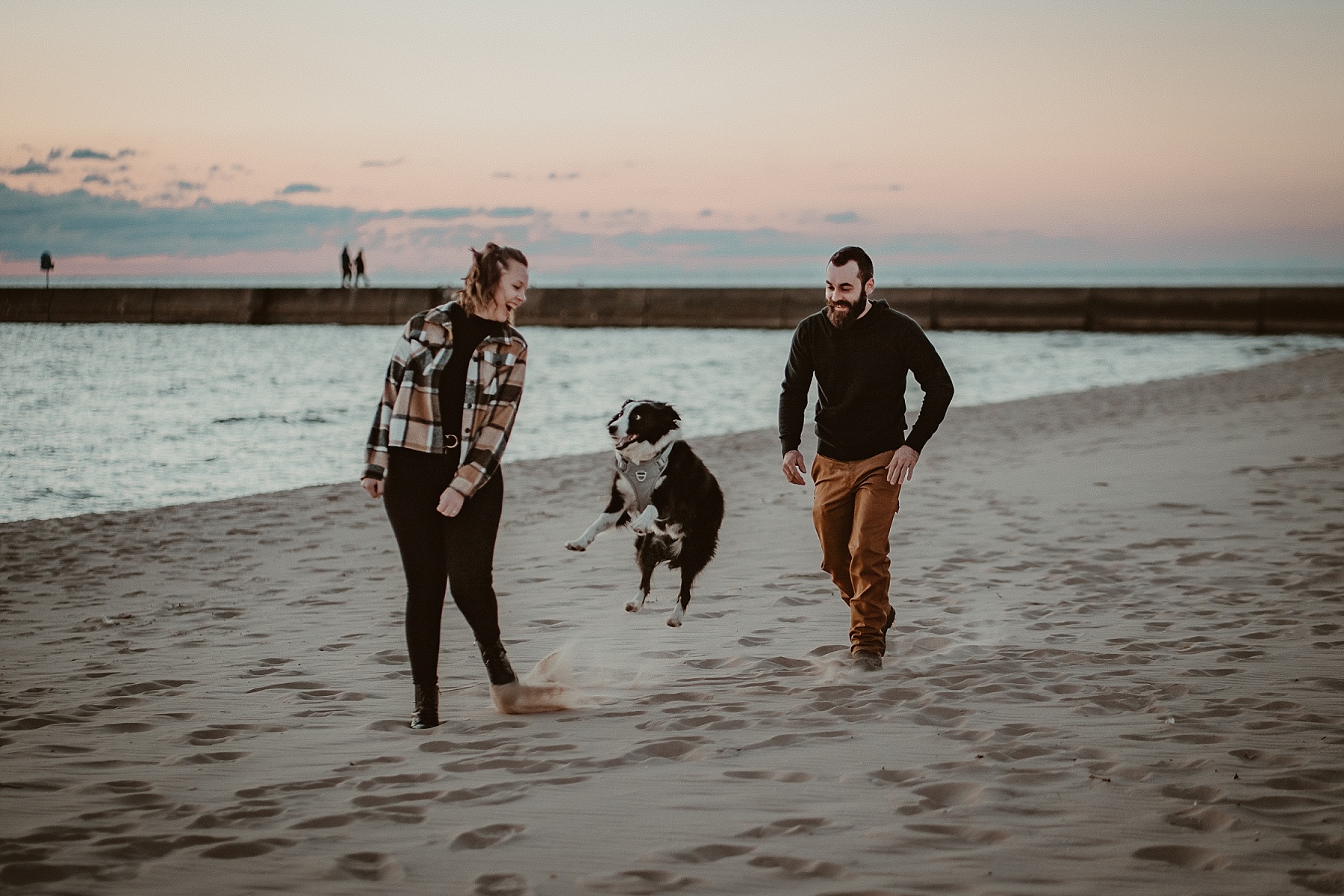 Border Collie and couple running along the shoreline during a Frankfort, Michigan engagement session.