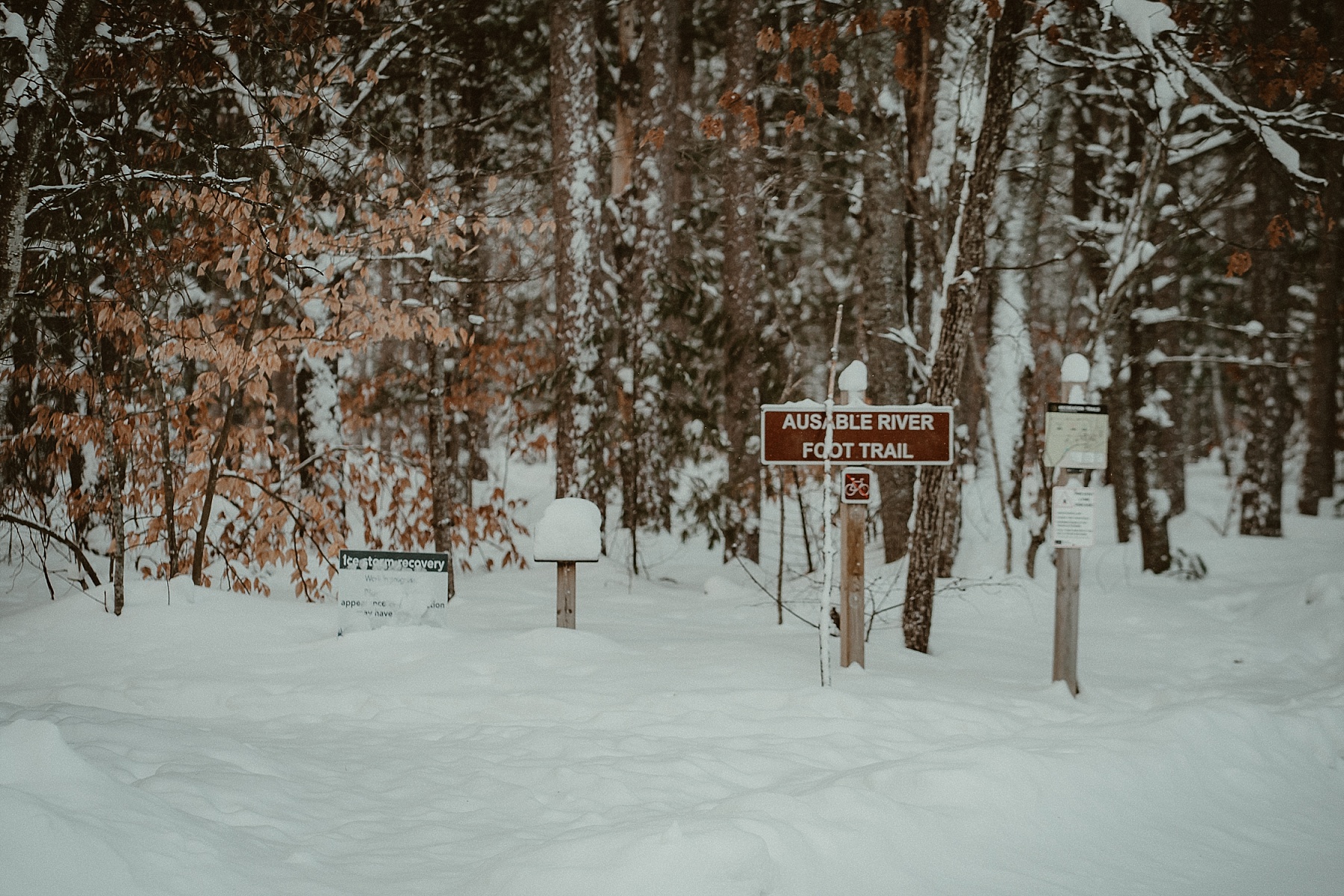 Snow-covered trail and tall pine trees at Hartwick Pines State Park Au Sable Foot Trail during winter photography session.