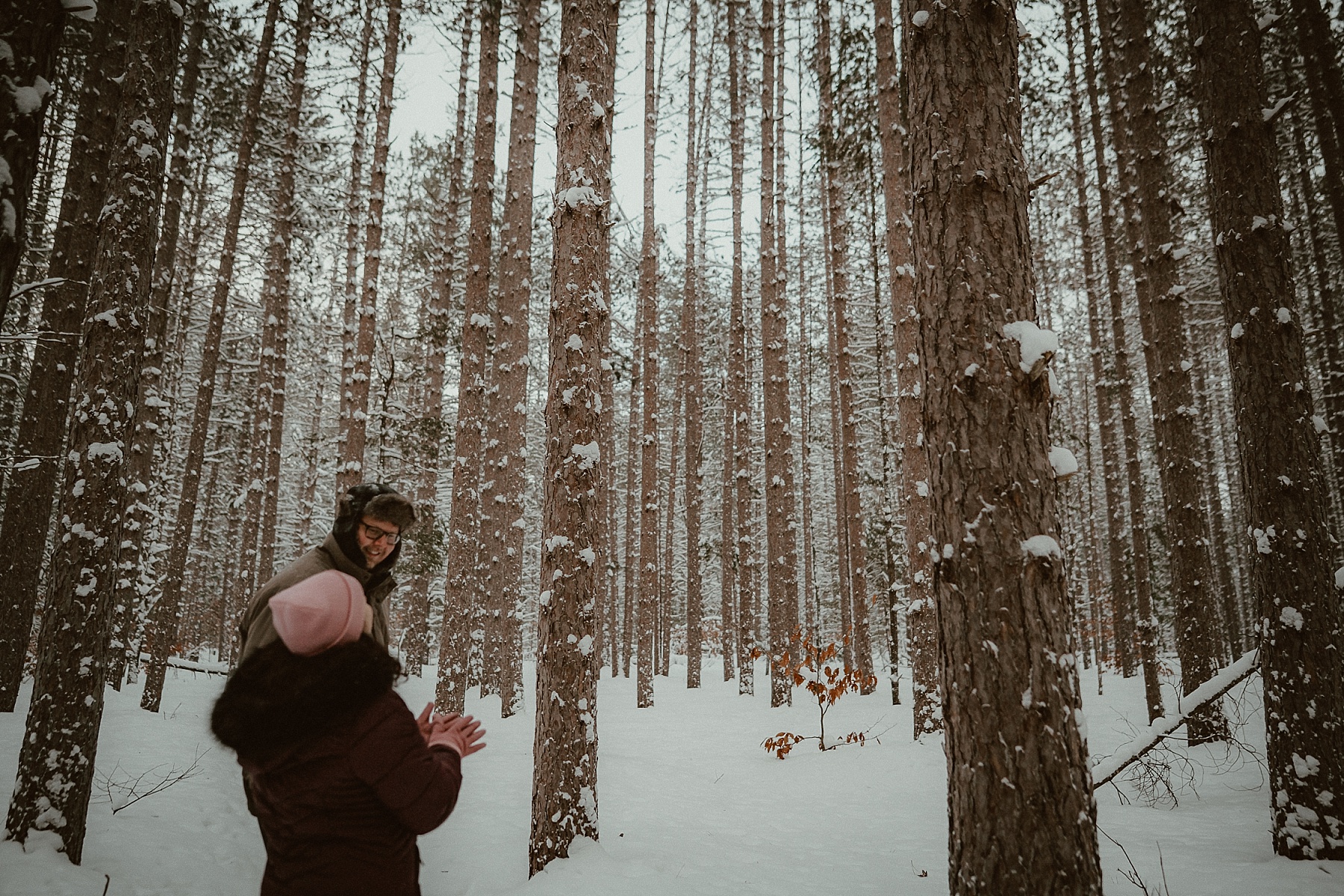 Couple the tall pines along the Au Sable Foot Trail during winter engagement session at Hartwick Pines State Park in Grayling Michigan.